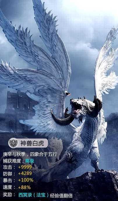 白孔雀救援